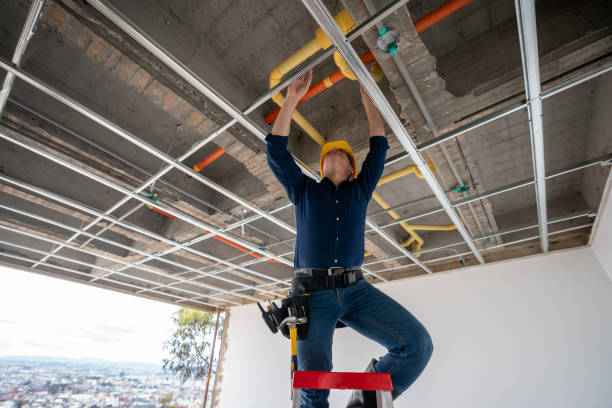 Best Sprinkler Systems  in Henagar, AL