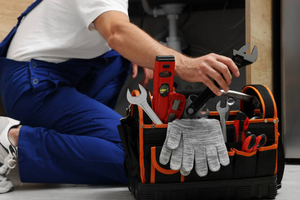 Best Toilet Repair Services  in Henagar, AL
